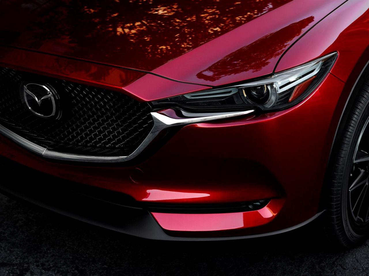 mazda_paint_experience_color_master