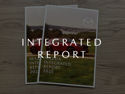 INTEGRATED REPORT