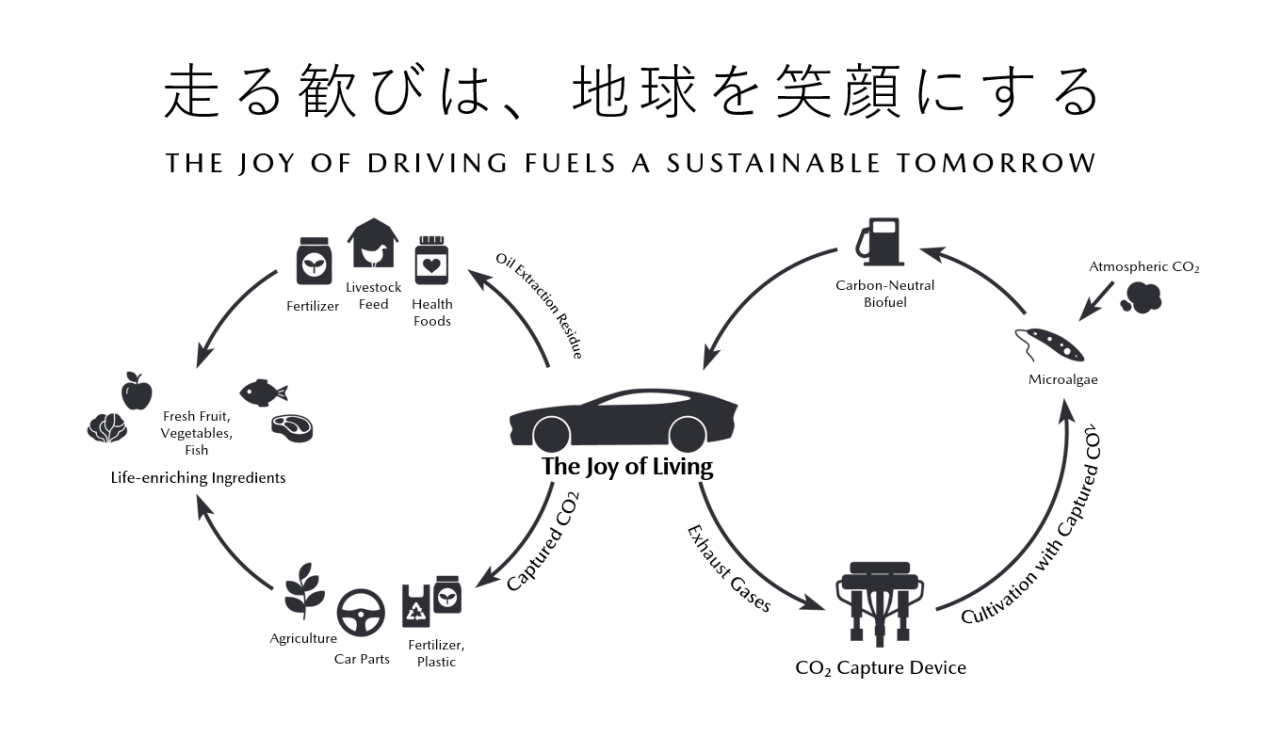 THE JOY OF DRIVING FUELS A SUSTAINABLE TOMORROW