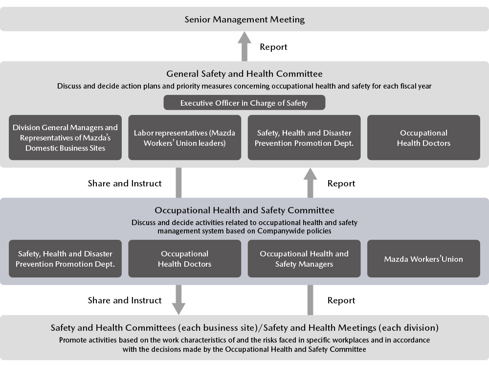 Occupational Health and Safety Promotion Frameworks