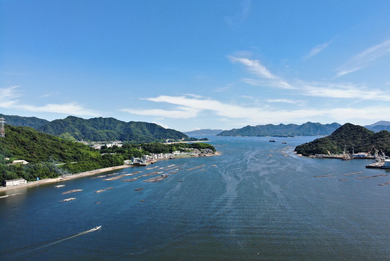 微細藻類由来の油